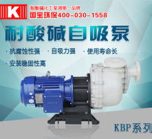 高清图解自吸泵 结构原理、使用技巧与维护指南
